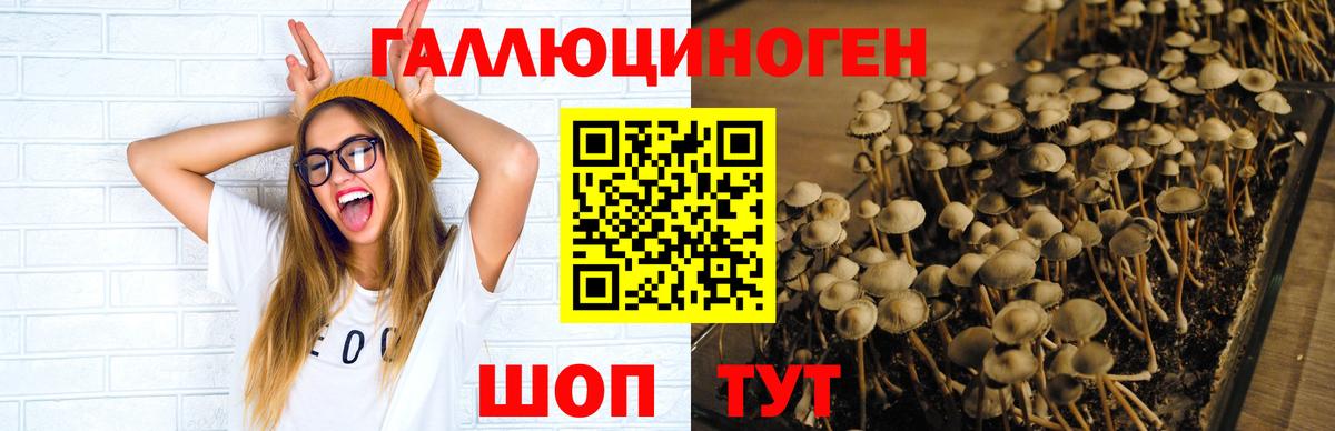 Галлюциногенные грибы прущие грибы Ливны